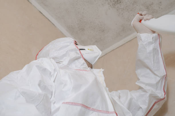 Best Certified Mold Removal  in Tellico Plains, TN